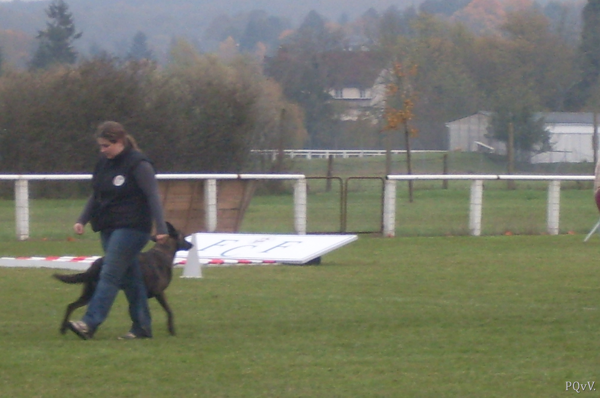  Eros des Crocs d’Olympe